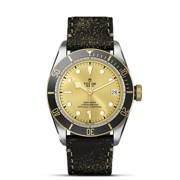 Relógio TUDOR Black Bay S&G