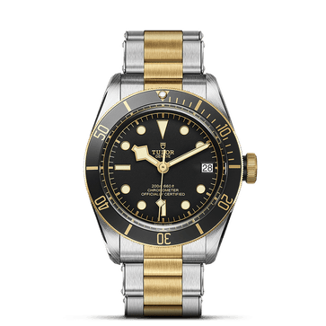 Relógio TUDOR Black Bay S&G